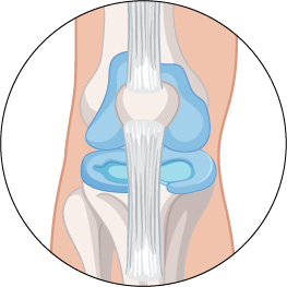 knee knee